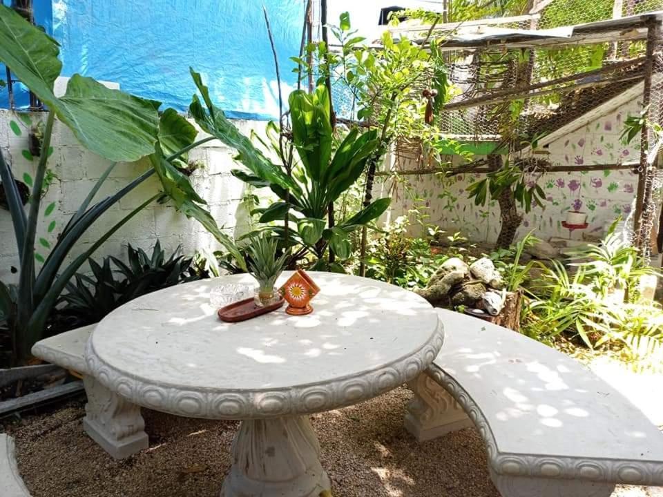 Mi Cuartito En Bacalar Lejlighed Eksteriør billede
