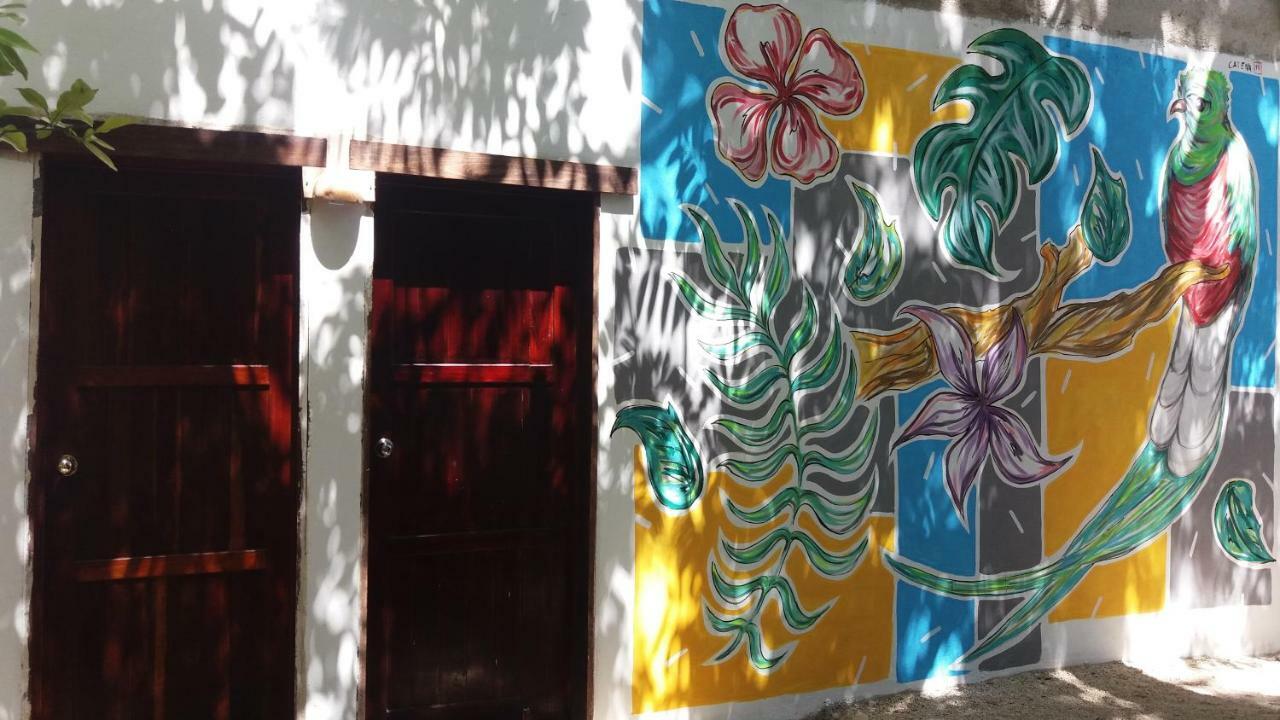 Mi Cuartito En Bacalar Lejlighed Eksteriør billede